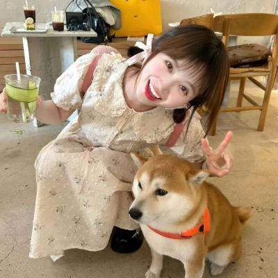 小林家的龙女仆